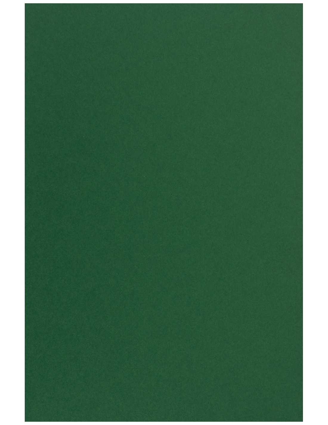 Carta colorata verde scuro 170g Sirio Color Foglia - conf. 20 fogli A4 Carta colorata verde scuro 170g Sirio Color Foglia - conf. 20 fogli A4