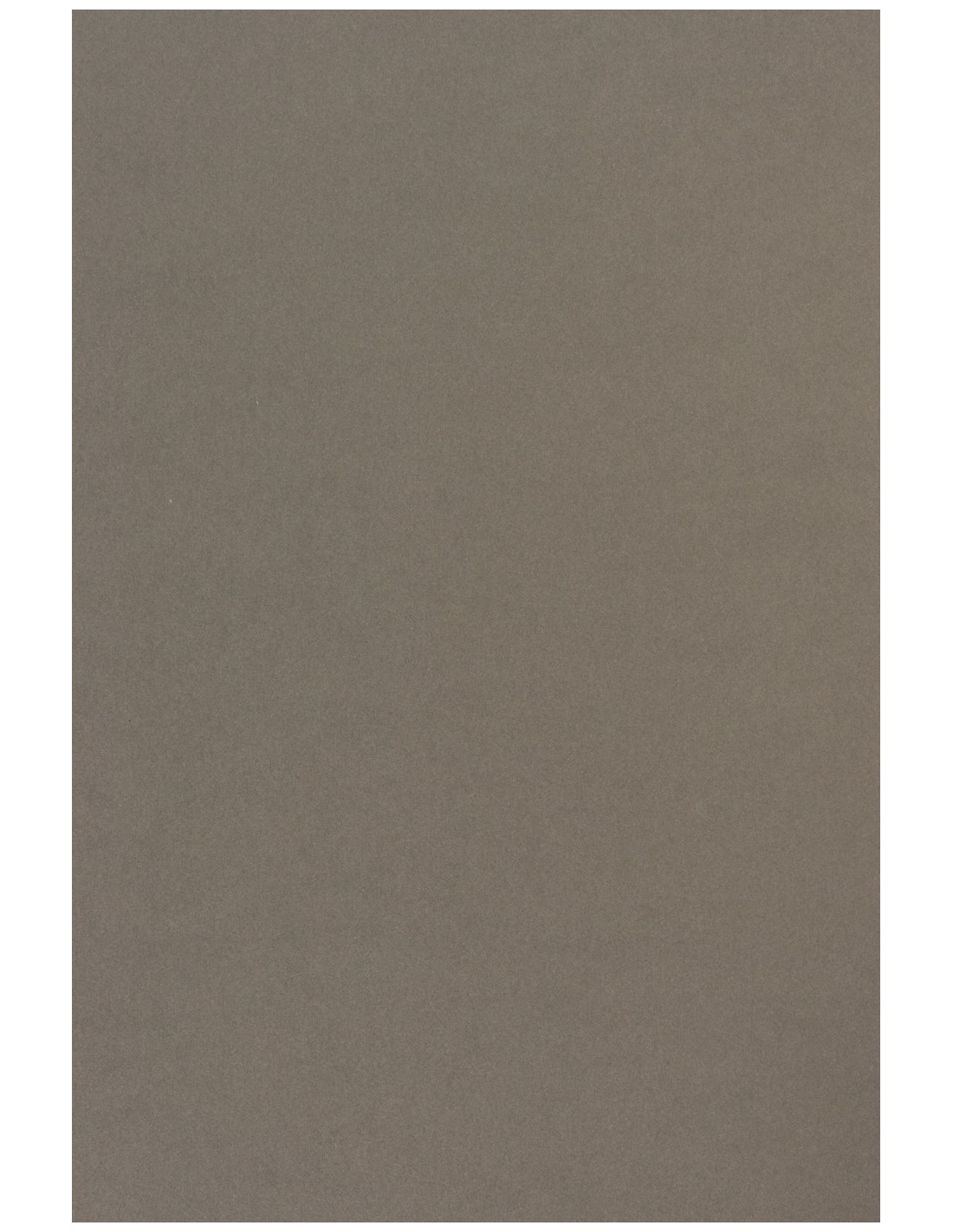 Carta colorata grigio 210g Sirio Color Pietra - conf. 25 fogli A4 Carta colorata grigio 210g Sirio Color Pietra - conf. 25 fogli A4
