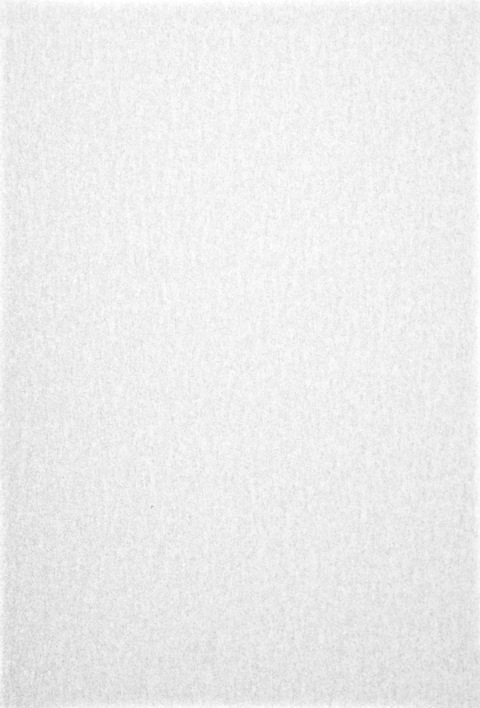 Carta liscia trasparente bianco 230g Pergamenata Bianco - conf. 10 fogli A4 Carta liscia trasparente bianco 230g Pergamenata Bianco - conf. 10 fogli A4