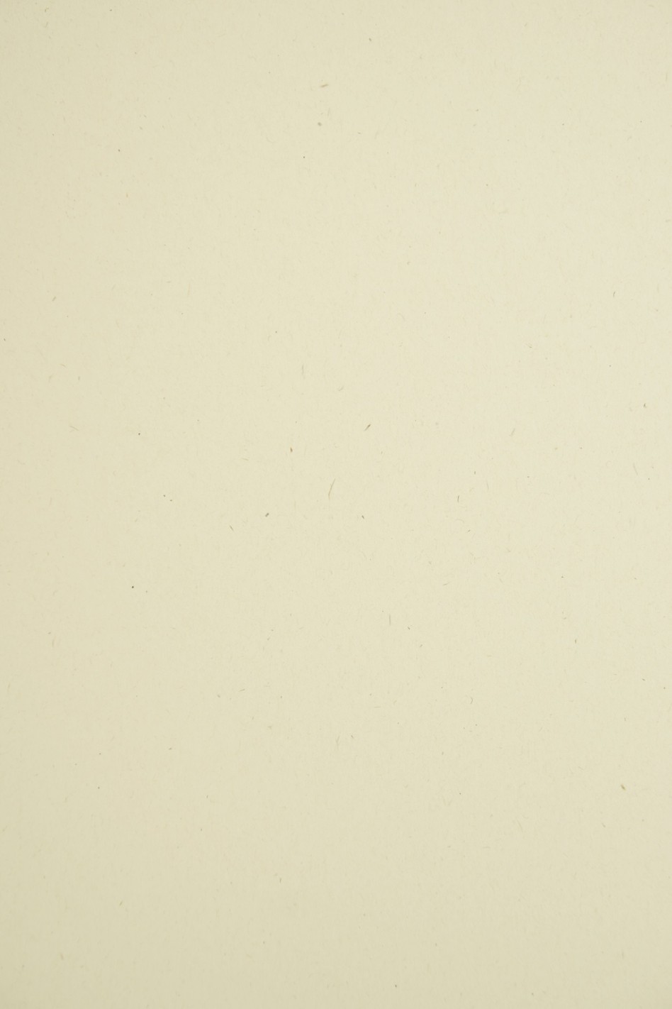Carta decorativa liscia colorata ecologica Woodstock 285g Betulla ecrù con inserti confezione da 10 A4 Carta decorativa liscia colorata ecologica Woodstock 285g Betulla ecrù con inserti confezione da 10 A4
