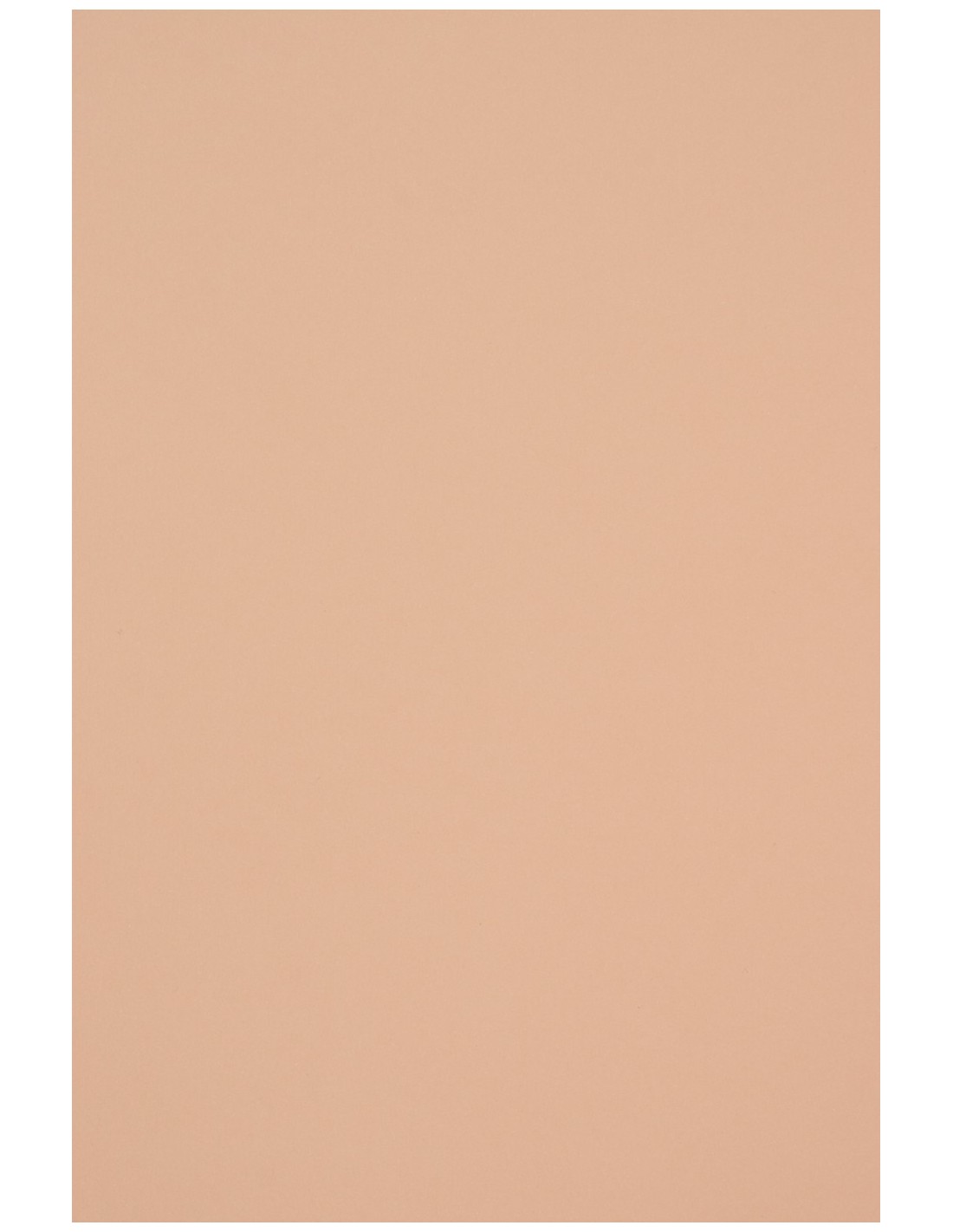 Carta decorativa liscia colorata ecologica Woodstock 260g Cipria rosa chiaro 260g 70x100 R125 Carta decorativa liscia colorata ecologica Woodstock 260g Cipria rosa chiaro 260g 70x100 R125