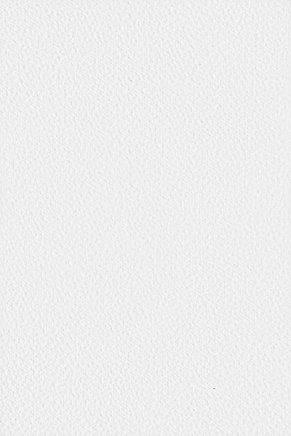 Carta strutturata bianco 250g Tintoretto Gesso (72x101cm) Carta strutturata bianco 250g Tintoretto Gesso (72x101cm)