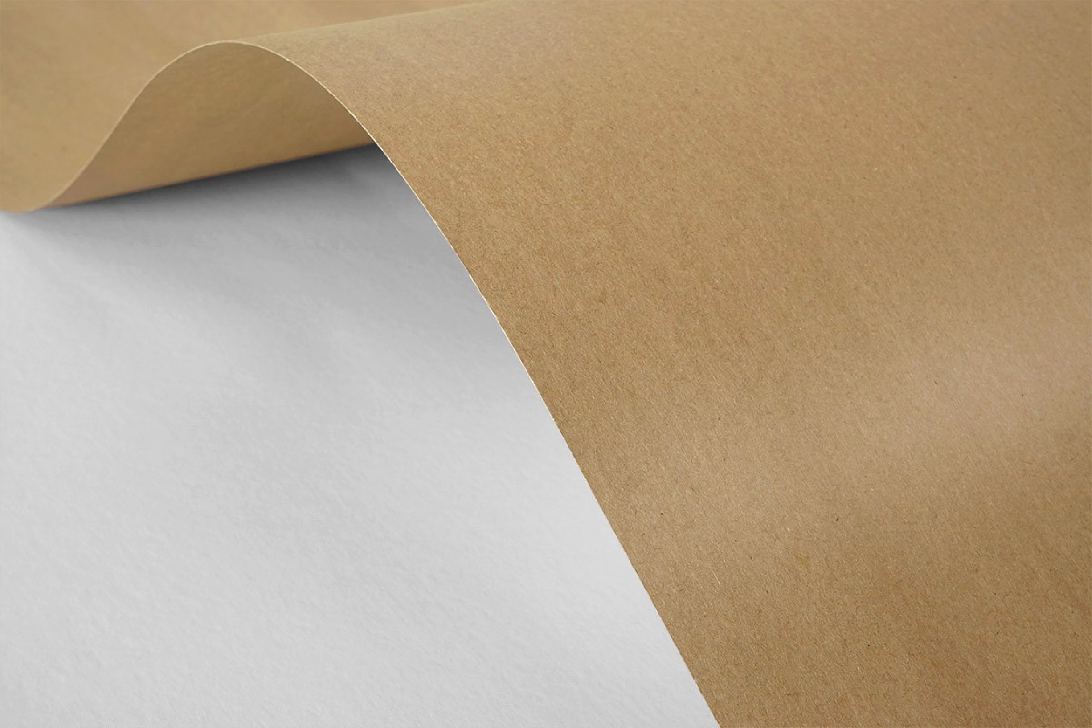 Carta decorativa liscia ecologica Kraft EKO 170g marrone 61x86 R200 Carta decorativa liscia ecologica Kraft EKO 170g marrone 61x86 R200