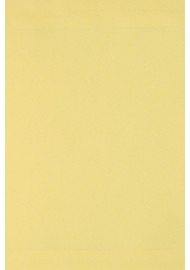 Papier ozdobny kolorowy gładki Burano 250g Giallo B07 pak. 10SRA3