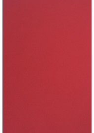 Papier ozdobny gładki kolorowy ekologiczny Circolor 80g Tulip bordowy pak. 500A4