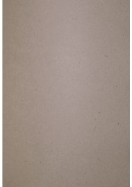 Papier ozdobny gładki ekologiczny Flora 240g Crusca beżowy pak. 10A5