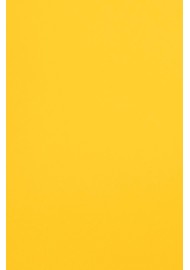 Papier ozdobny gładki kolorowy Malmero Mangue 120g jasny pomarańczowy 70x100 R250